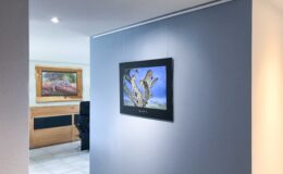 24-11 - s tuet sich öppis